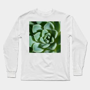 Petalled Succulent - Agave Long Sleeve T-Shirt